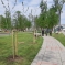В парке станицы Полтавской высадили новые деревья 3